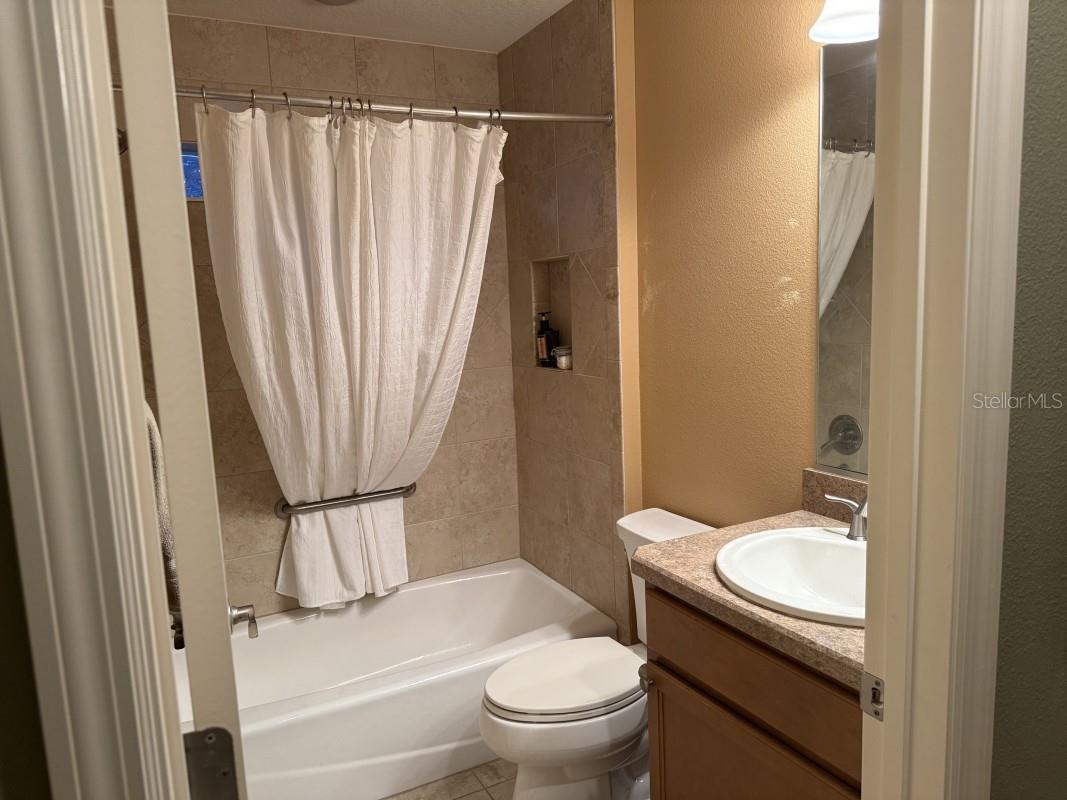1097 Hollyhock Way The Villages FL 32163 A4688743 image8