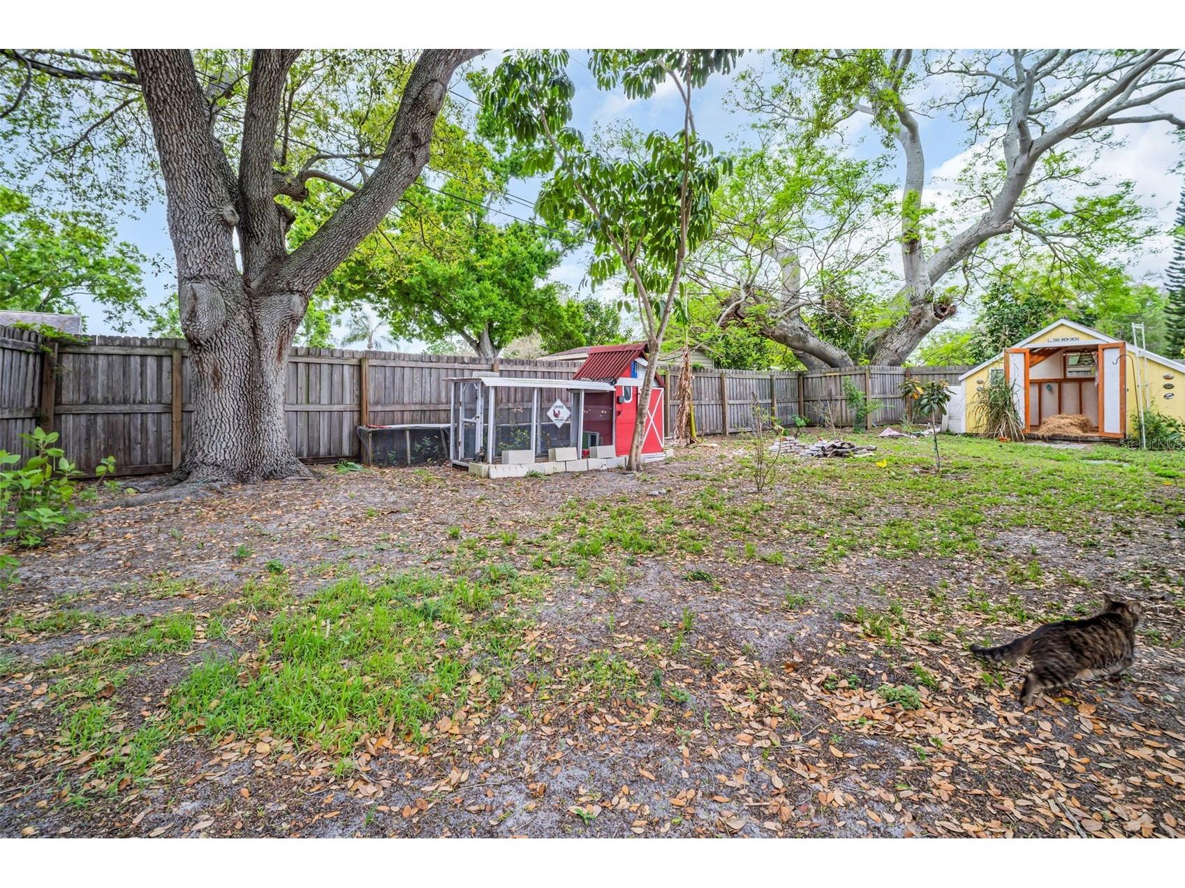 1097 Kenwood Drive Dunedin FL 34698 TB8488110 image17