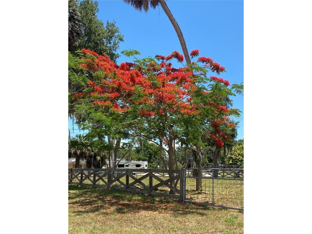 1097 Lake Shore Boulevard Tavares FL 32778 - HARRIS CHAIN LAKE EUSTIS O6029787 image1