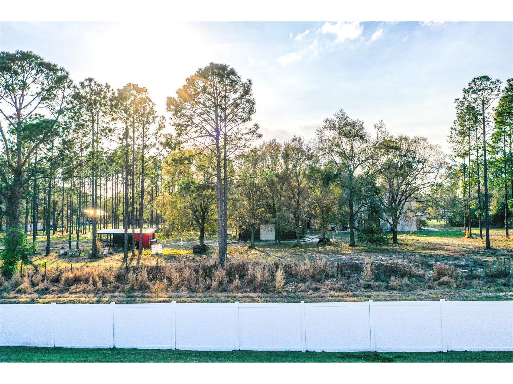 1097 Sandpiper Loop Winter Haven FL 33881 L4959736 image23