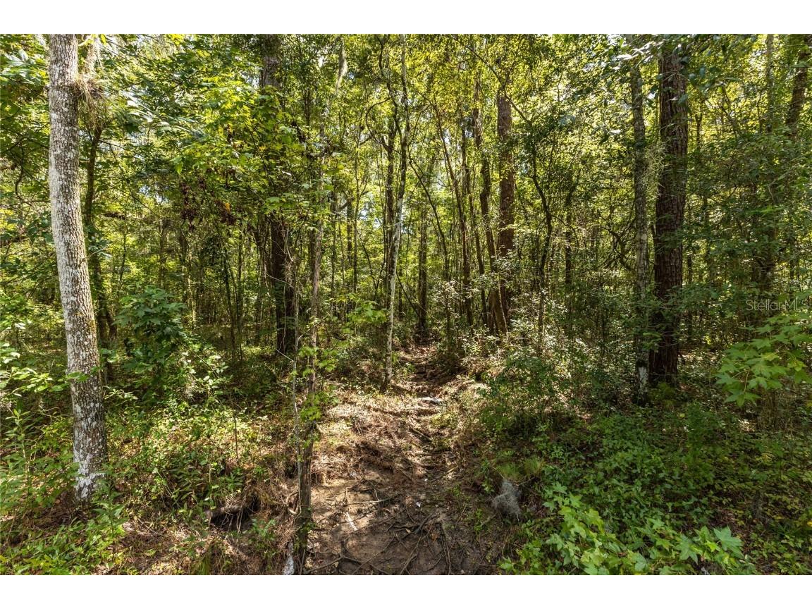 10971 SW 8th Avenue Gainesville FL 32607 GC528255 image13