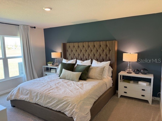 10972 Gentle Current Way Parrish FL 34219 A4672123 image5