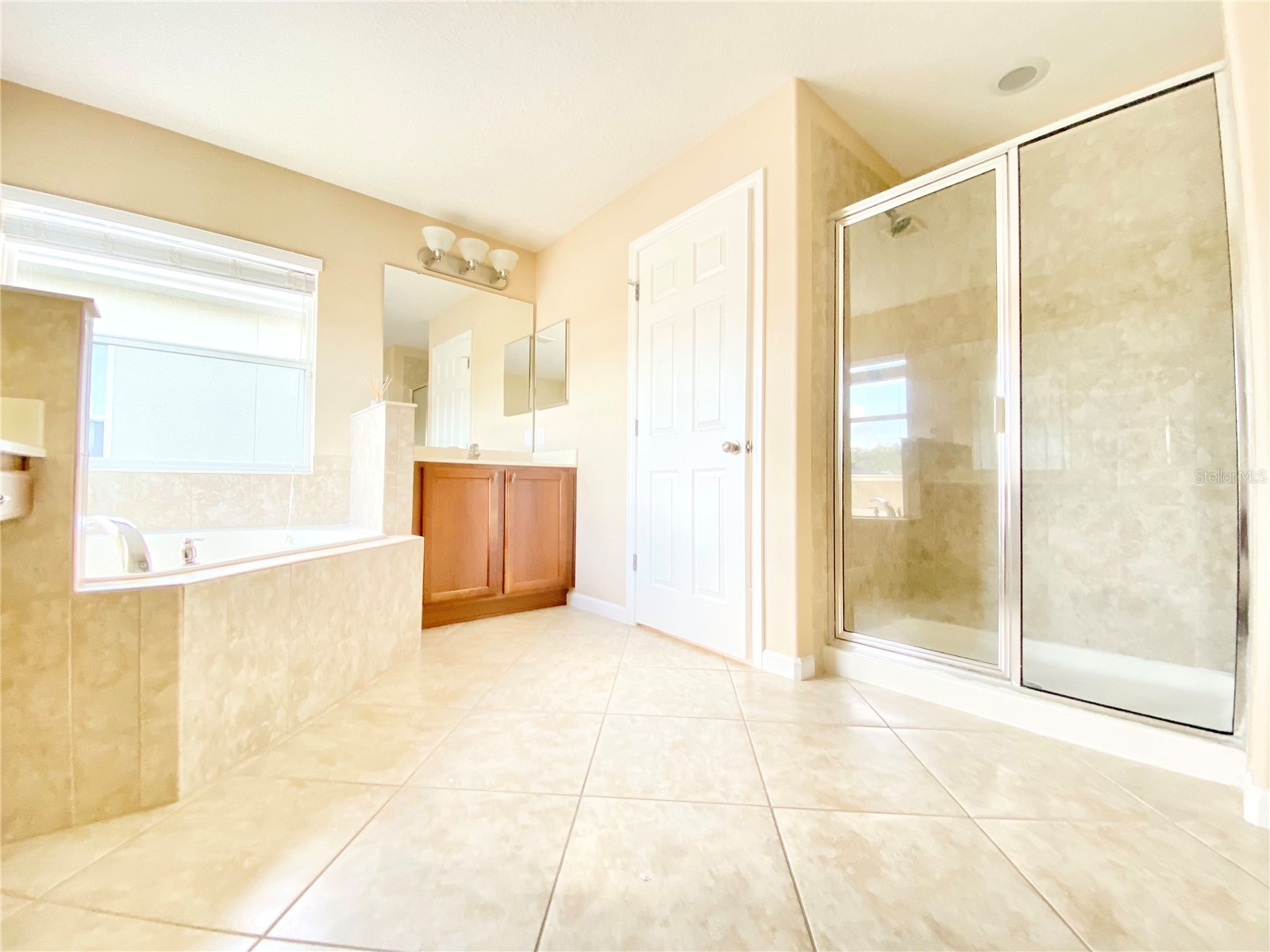 10973 Willow Ridge Loop Orlando FL 32825 O6417408 image54