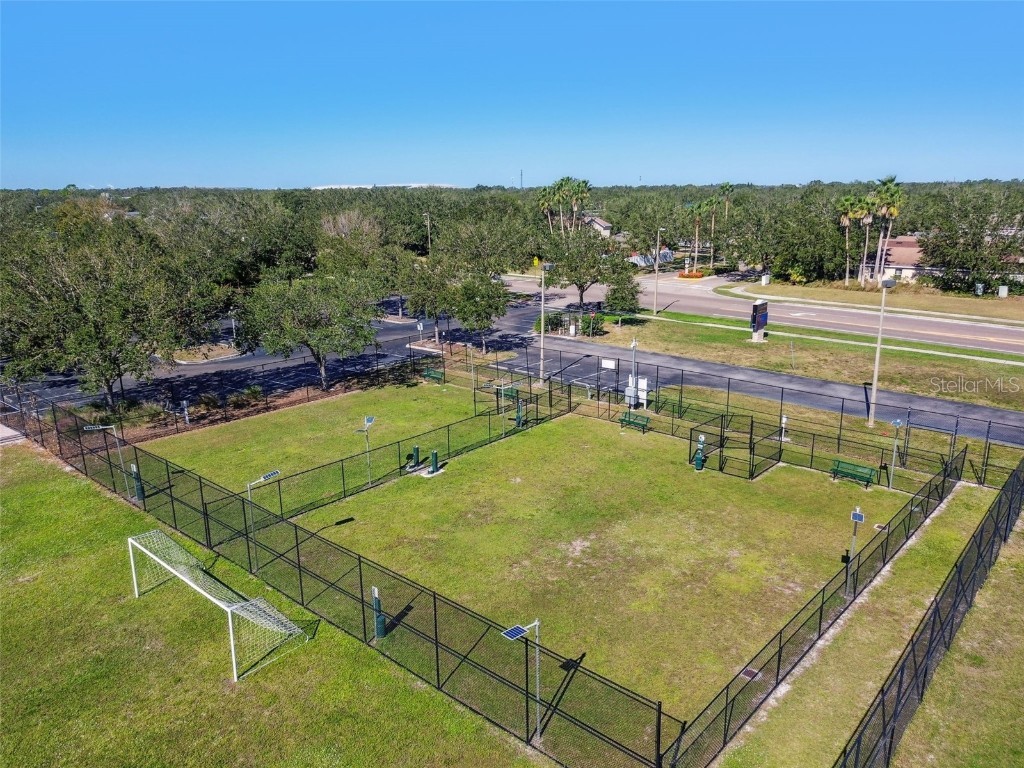 10974 Winter Crest Drive Riverview FL 33569 TB8429510 image40