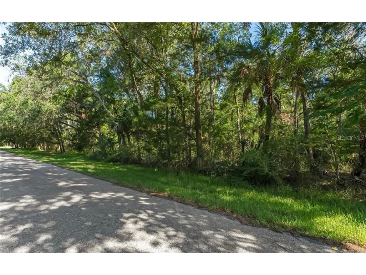 10975 W Rockhaven Lane Homosassa FL 34448 O6411609 image1