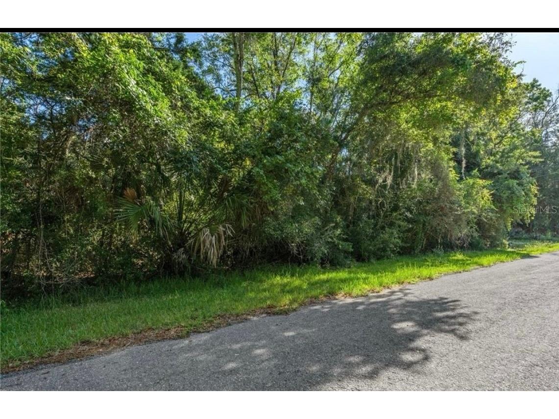 10975 W Rockhaven Lane Homosassa FL 34448 O6411609 image2