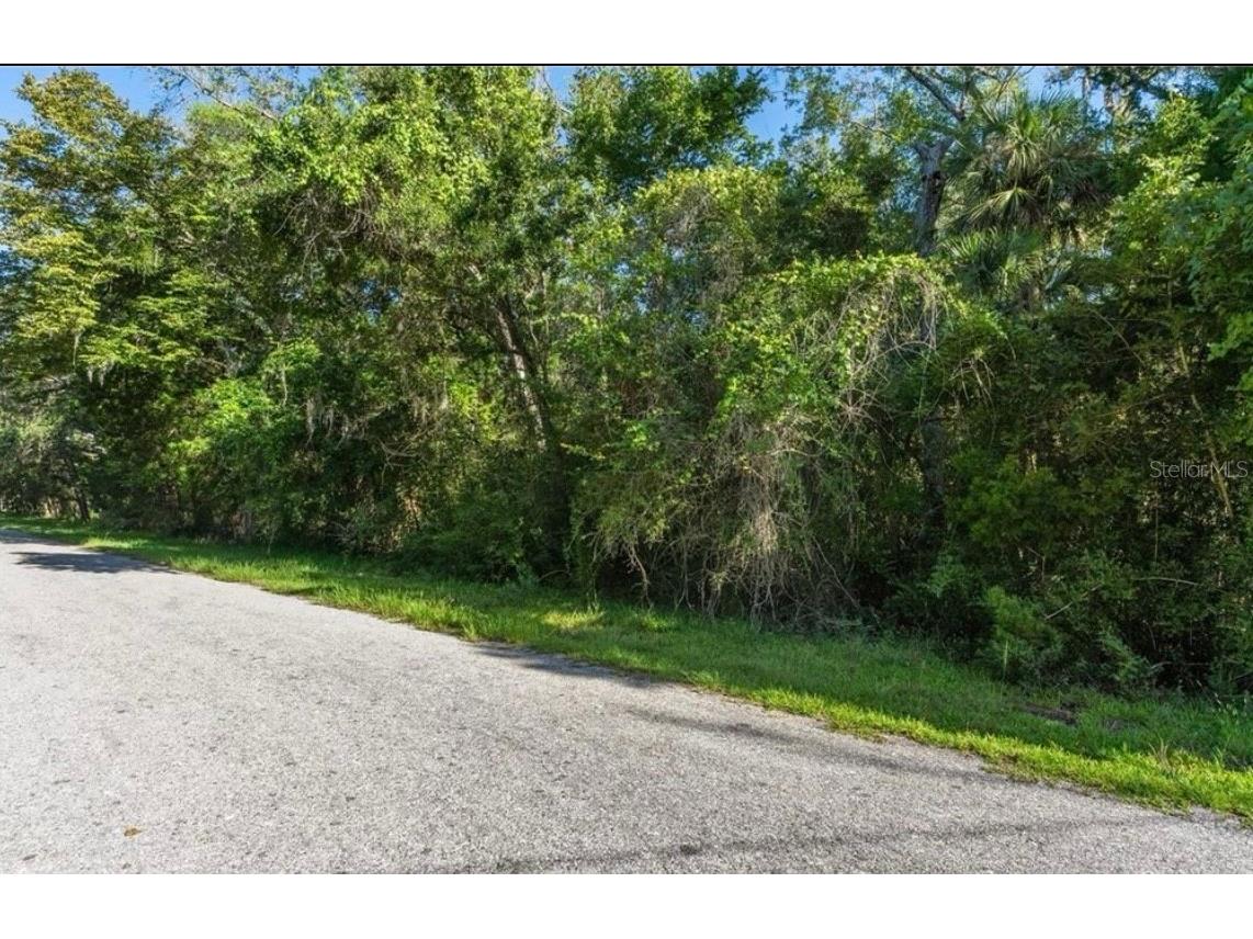 10975 W Rockhaven Lane Homosassa FL 34448 O6411609 image3