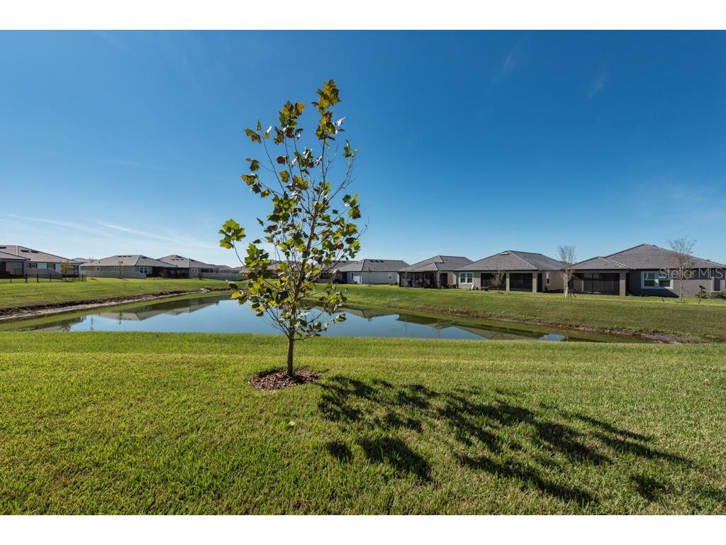 10976 Gable Dig Loop San Antonio FL 33576 TB8447536 image23