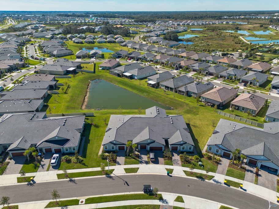 10976 Gable Dig Loop San Antonio FL 33576 TB8447536 image30