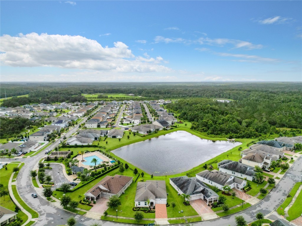 10976 Longleaf Woods Drive Orlando FL 32832 O6136665 image1