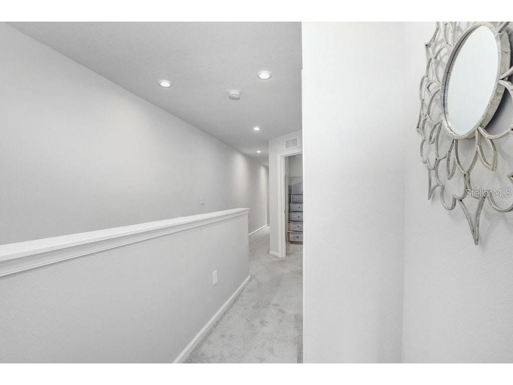 10976 Verawood Drive Riverview FL 33579 TB8494990 image12