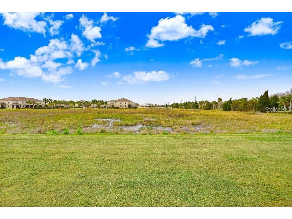 10976 Verawood Drive Riverview FL 33579 TB8494990 image30