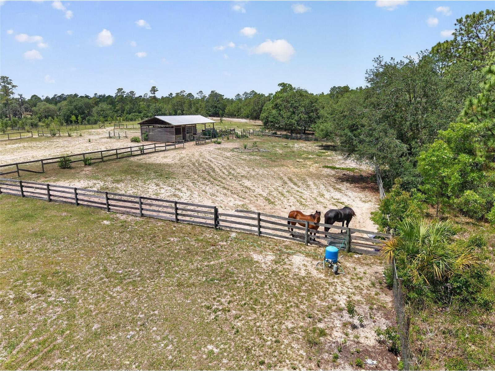 1098 NW 165th Court Road Dunnellon FL 34432 OM725088 image34
