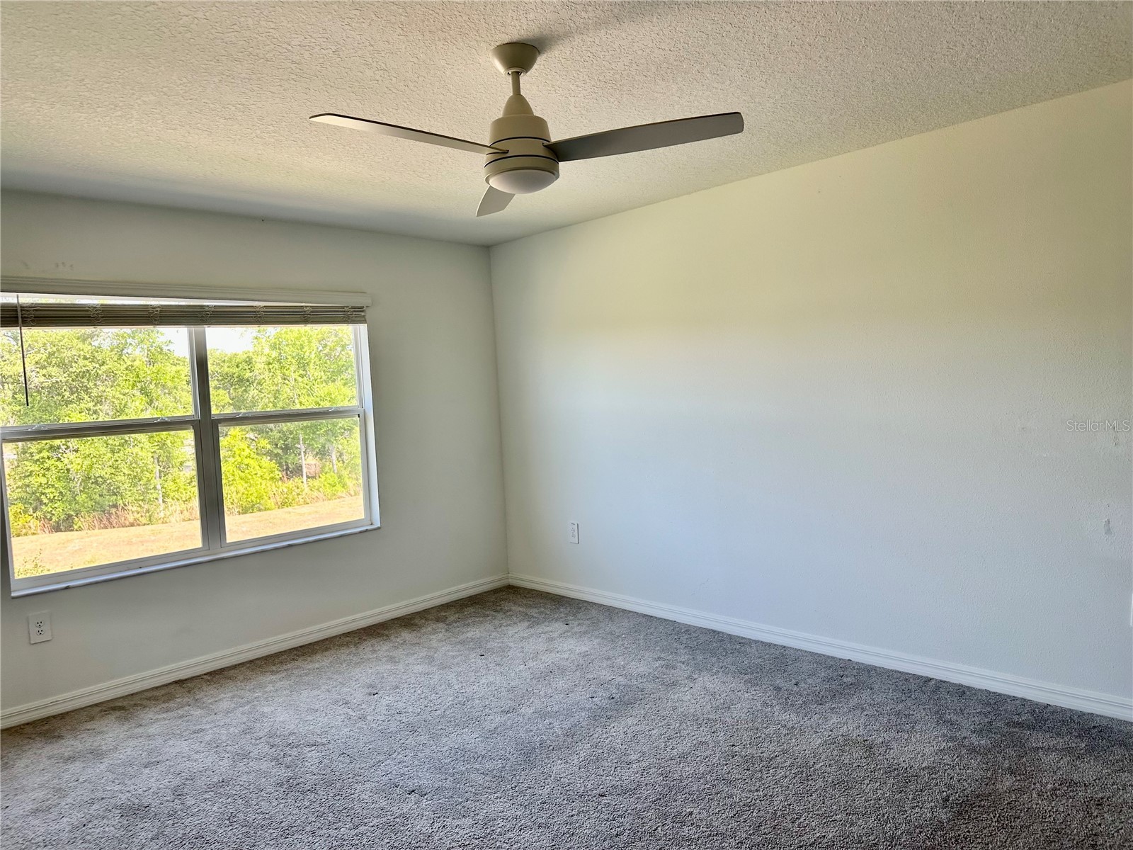 10981 Wishing Cloud Road Land O Lakes FL 34638 W7885250 image14