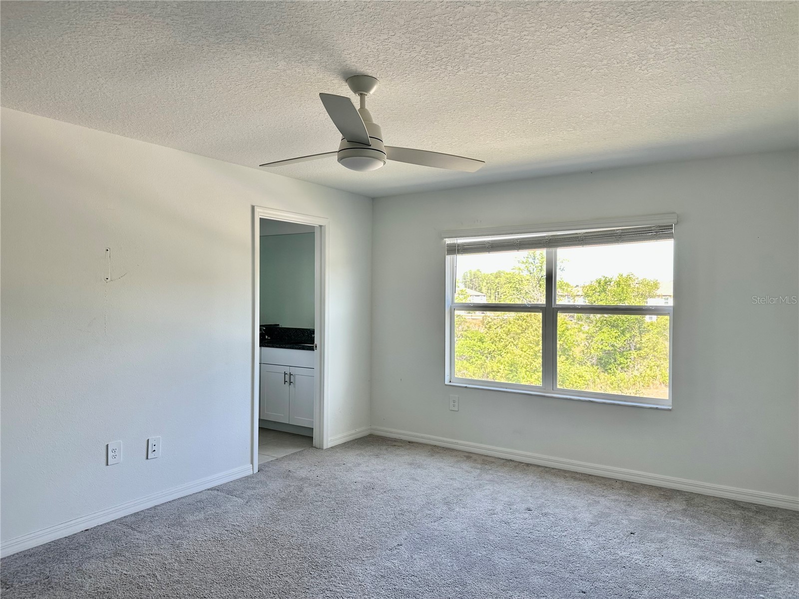 10981 Wishing Cloud Road Land O Lakes FL 34638 W7885250 image15