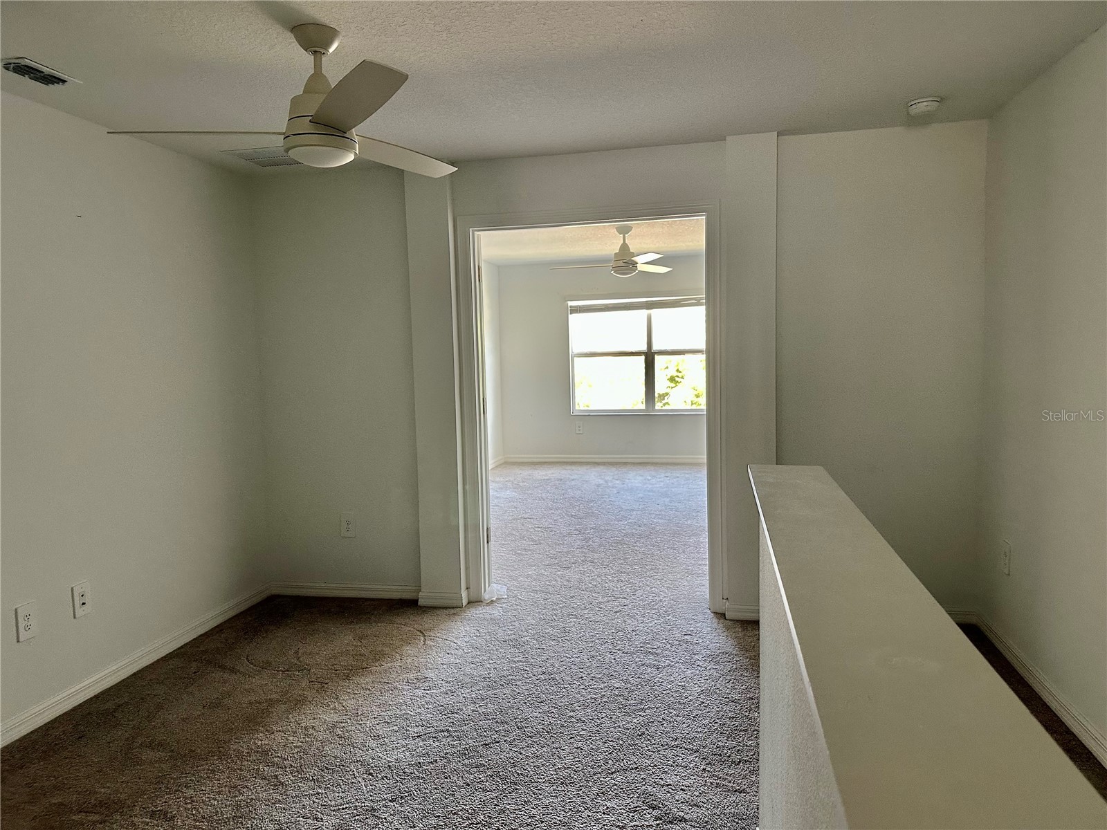 10981 Wishing Cloud Road Land O Lakes FL 34638 W7885250 image21