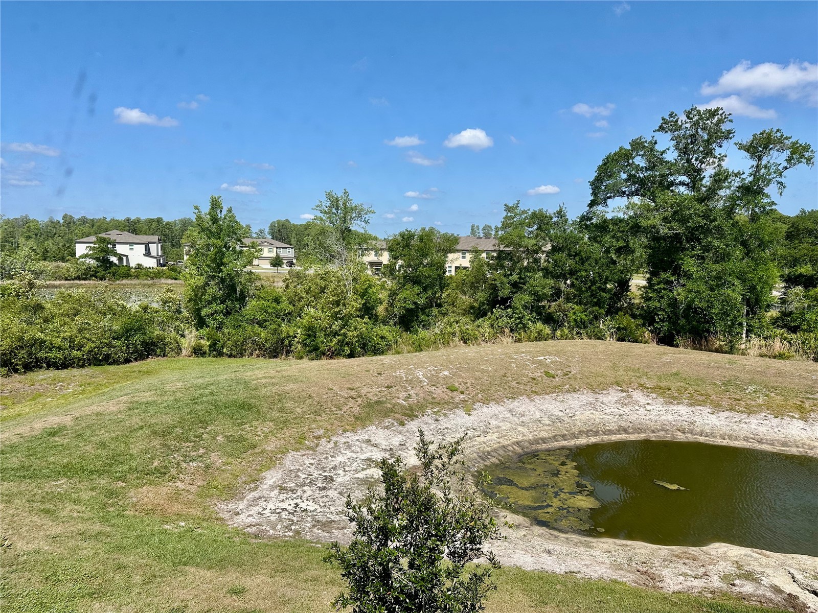 10981 Wishing Cloud Road Land O Lakes FL 34638 W7885250 image32