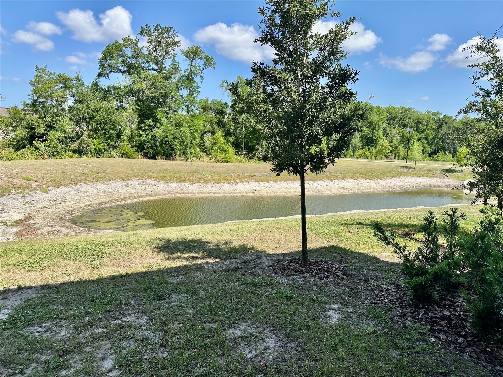 10981 Wishing Cloud Road Land O Lakes FL 34638 W7885250 image33