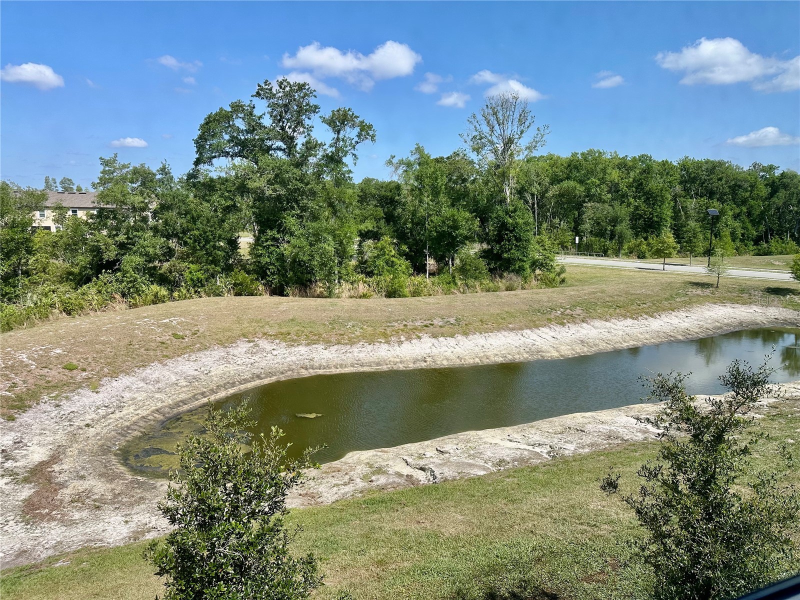 10981 Wishing Cloud Road Land O Lakes FL 34638 W7885250 image34