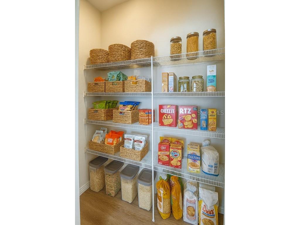 10982 Penny Gale Loop San Antonio FL 33576 TB8452363 image18