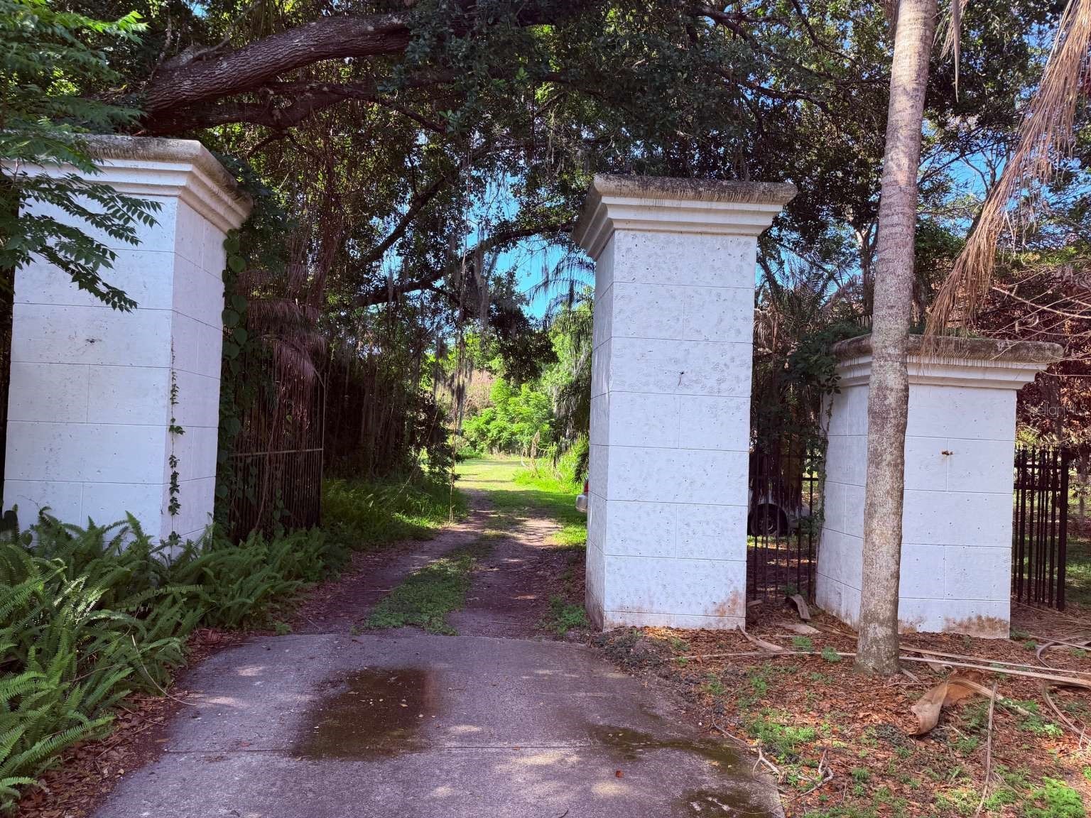 10984 Park Ridge Gotha Road Windermere FL 34786 TB8512612 image4