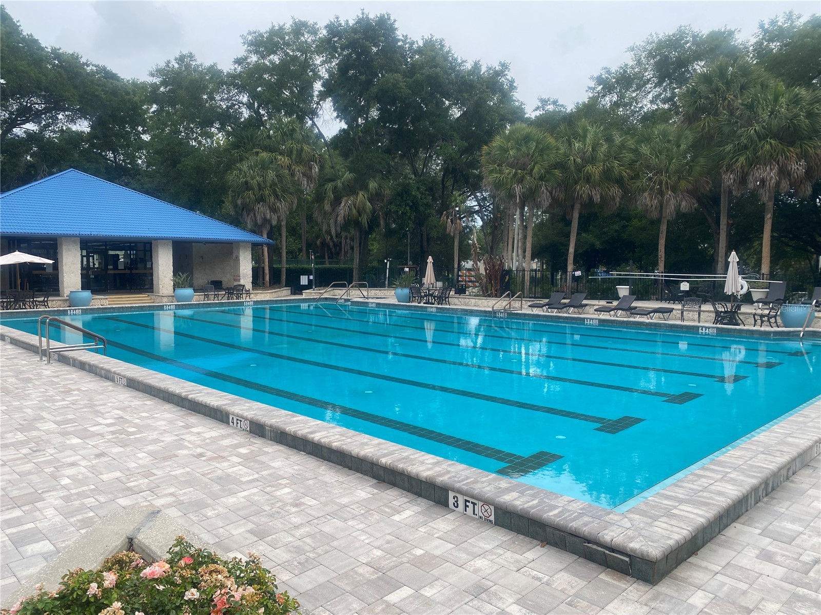 10986 SW 86th Terrace Ocala FL 34481 OM725385 image30