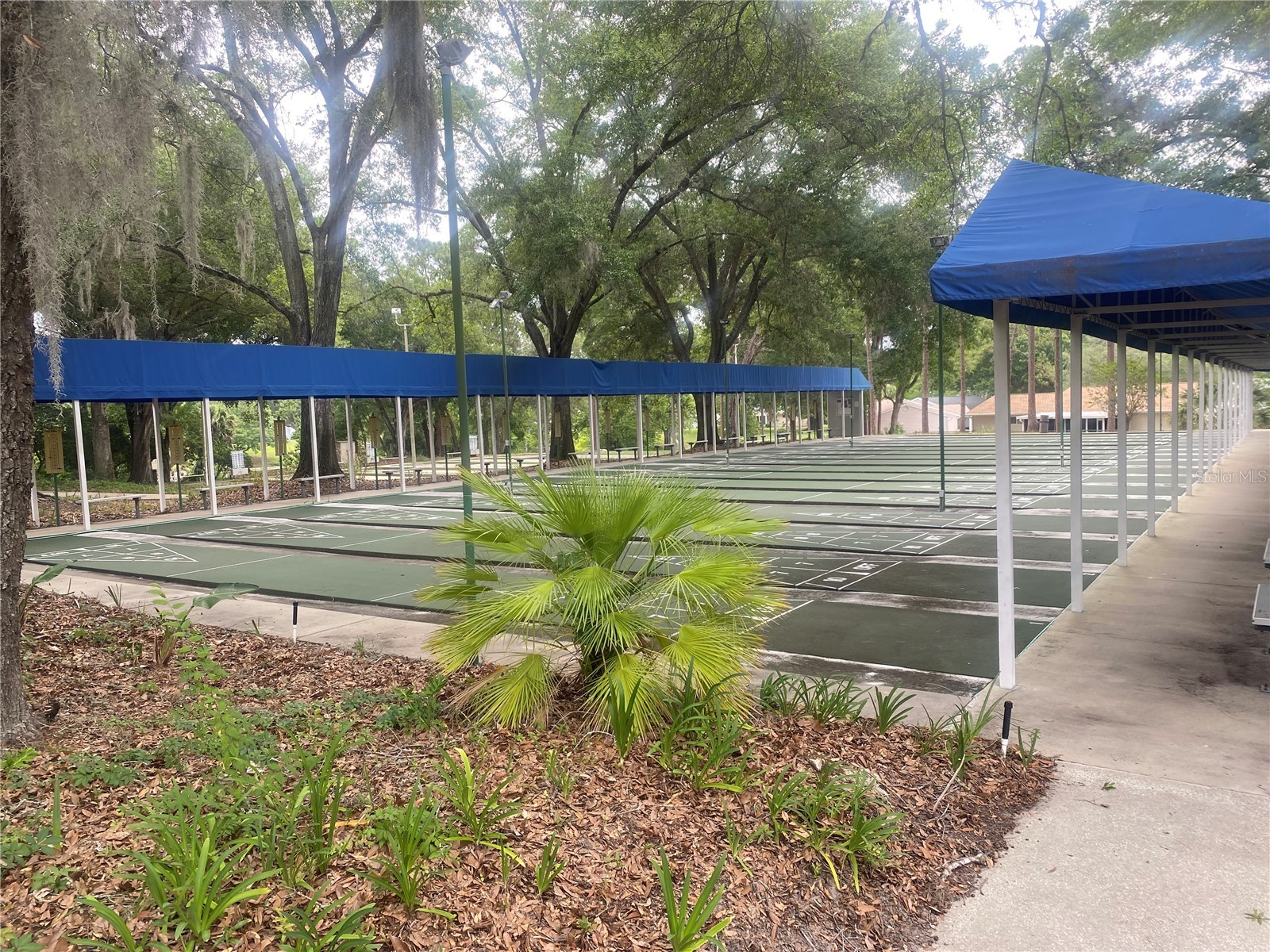 10986 SW 86th Terrace Ocala FL 34481 OM725385 image38