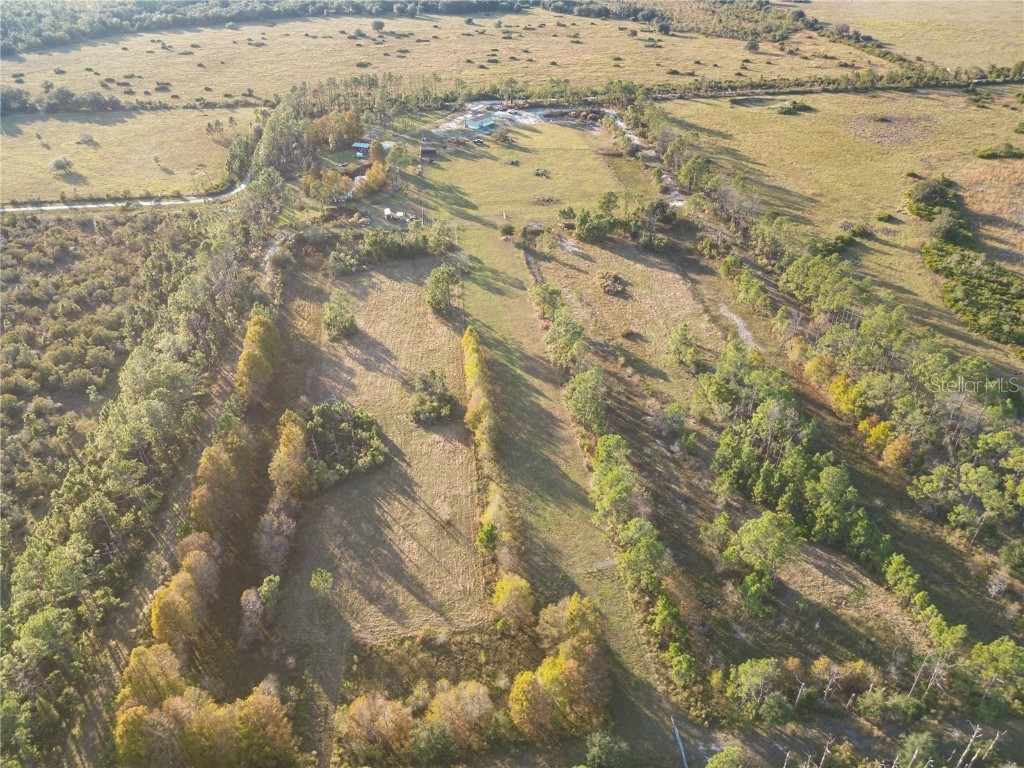 10989 NW Lily County Line Road Ona FL 33865 A4673958 image7