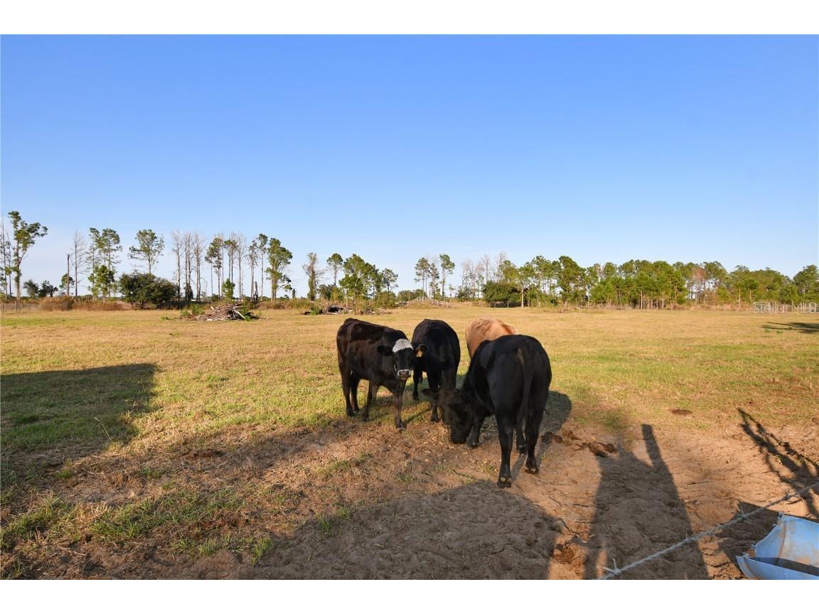 10989 NW Lily County Line Road Ona FL 33865 A4673958 image77