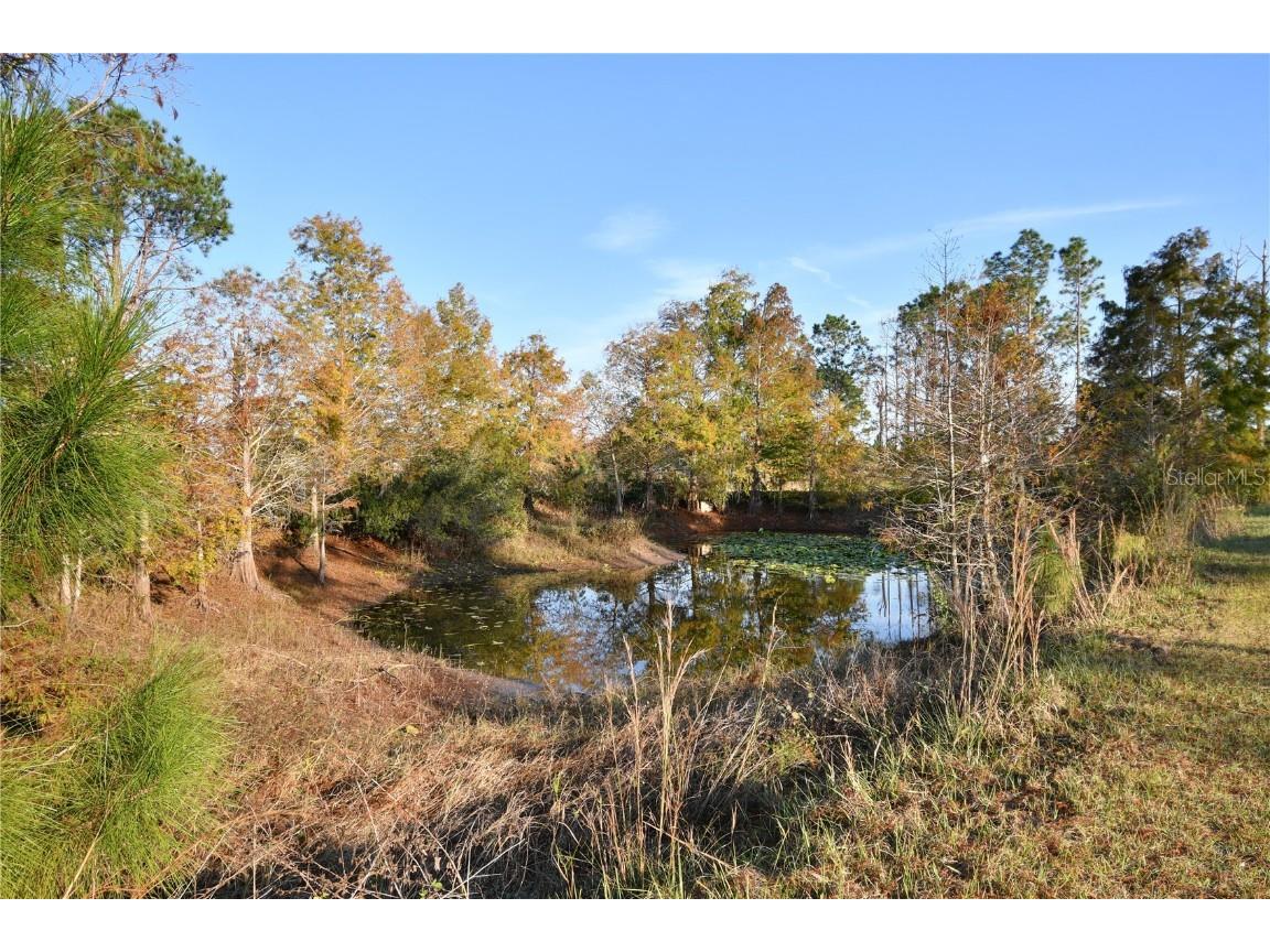 10989 NW Lily County Line Road Ona FL 33865 A4673958 image78