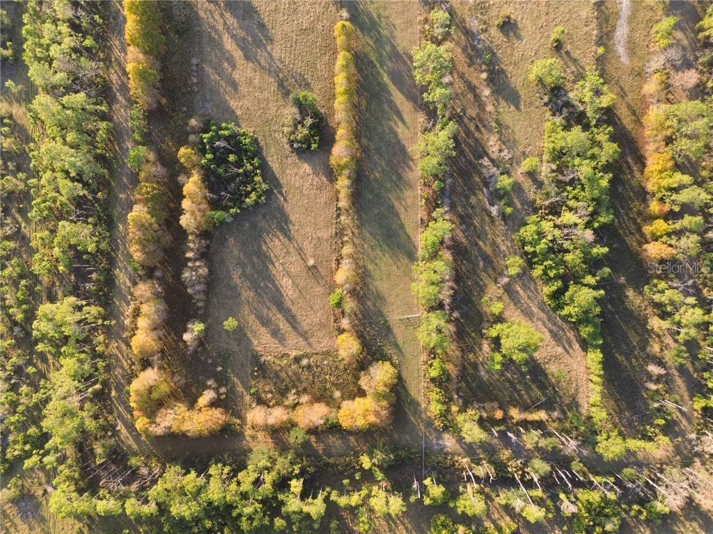 10989 NW Lily County Line Road Ona FL 33865 A4673958 image8