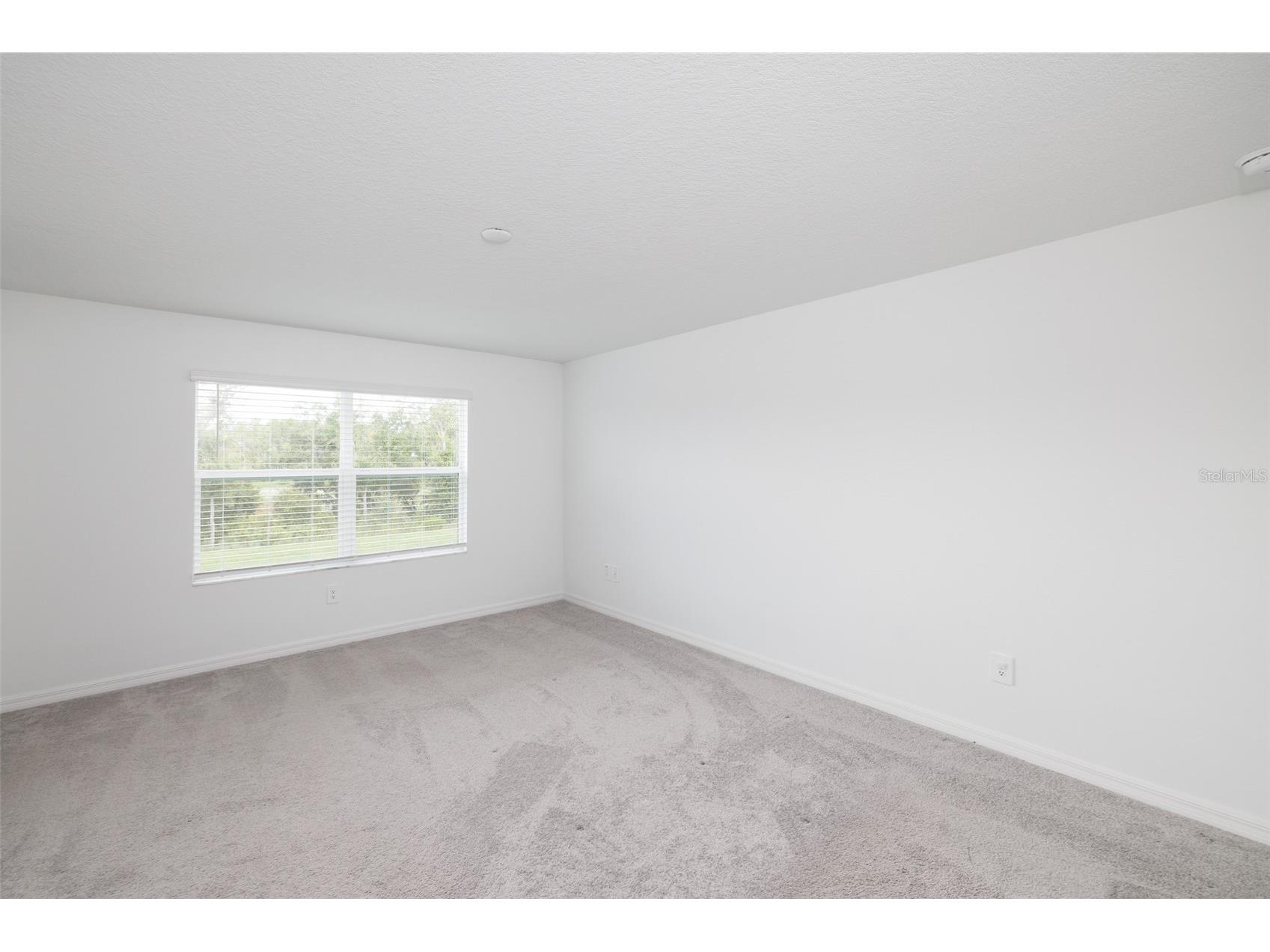 10989 Wishing Cloud Road Land O Lakes FL 34638 TB8481577 image10