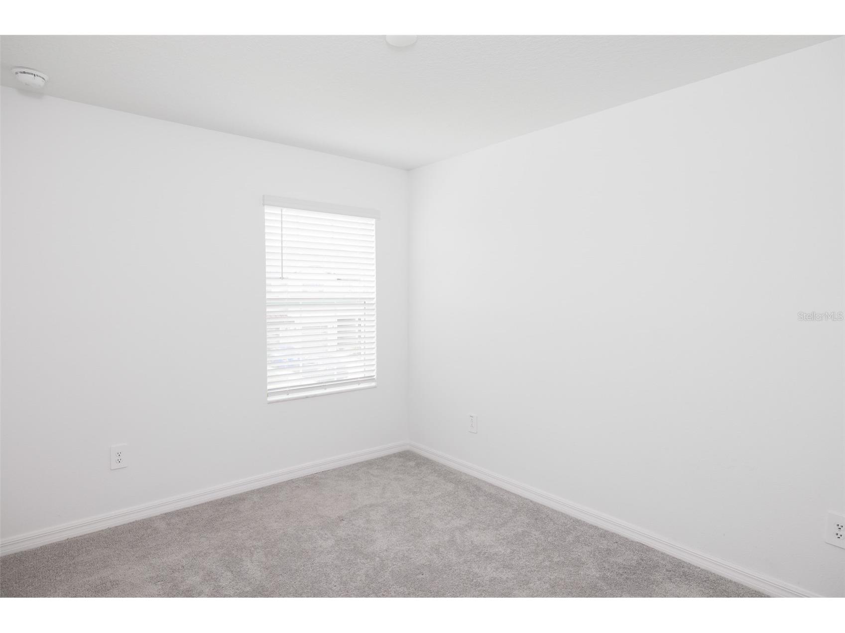 10989 Wishing Cloud Road Land O Lakes FL 34638 TB8481577 image14