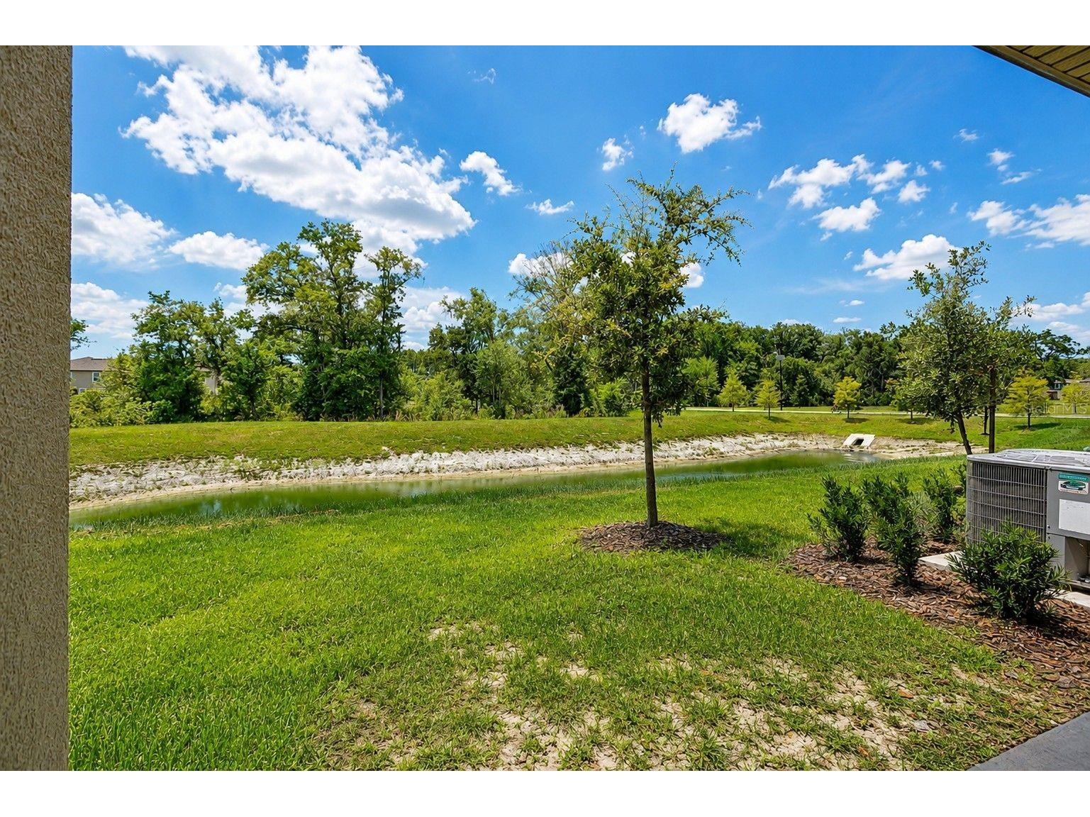 10989 Wishing Cloud Road Land O Lakes FL 34638 TB8516992 image27