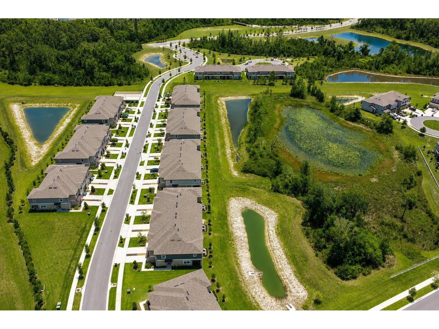 10989 Wishing Cloud Road Land O Lakes FL 34638 TB8516992 image29