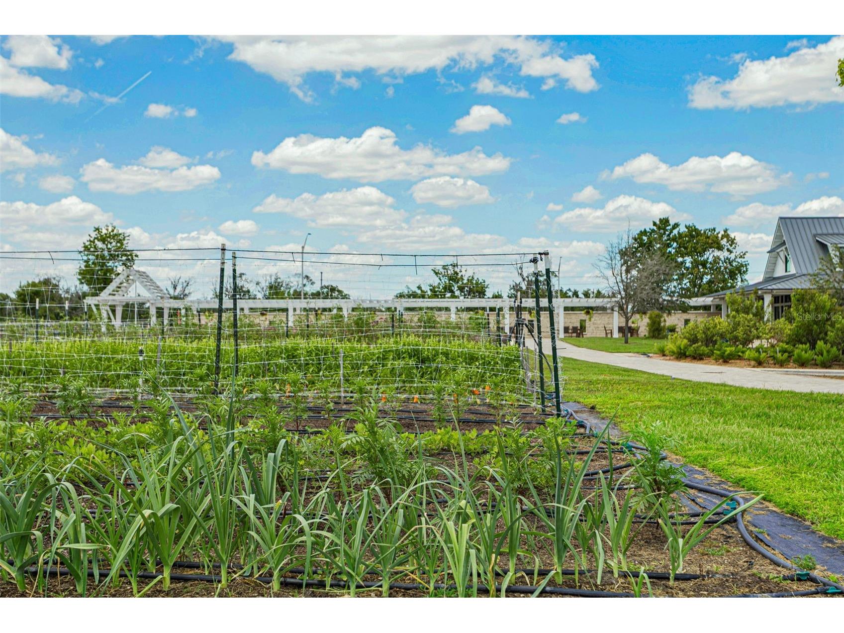10989 Wishing Cloud Road Land O Lakes FL 34638 TB8516992 image35