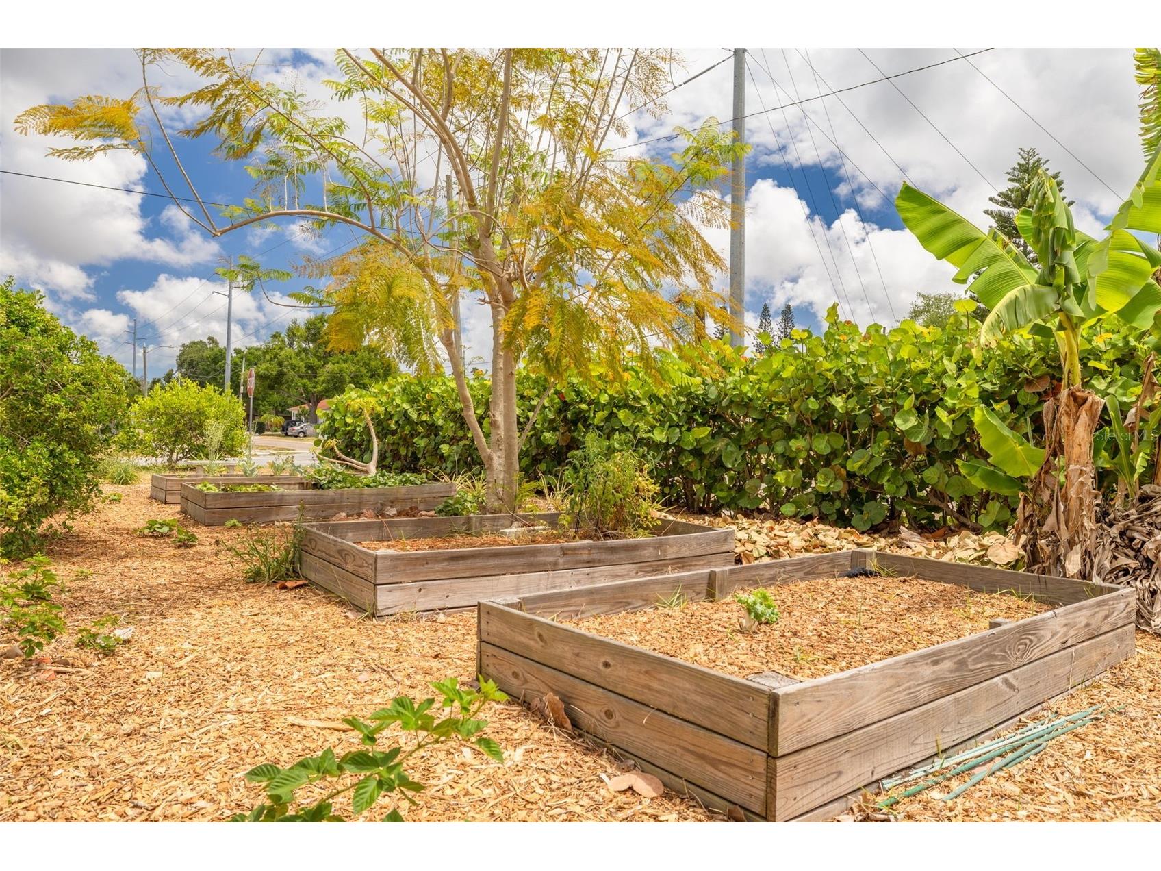1099 52nd Street S Gulfport FL 33707 TB8502656 image22