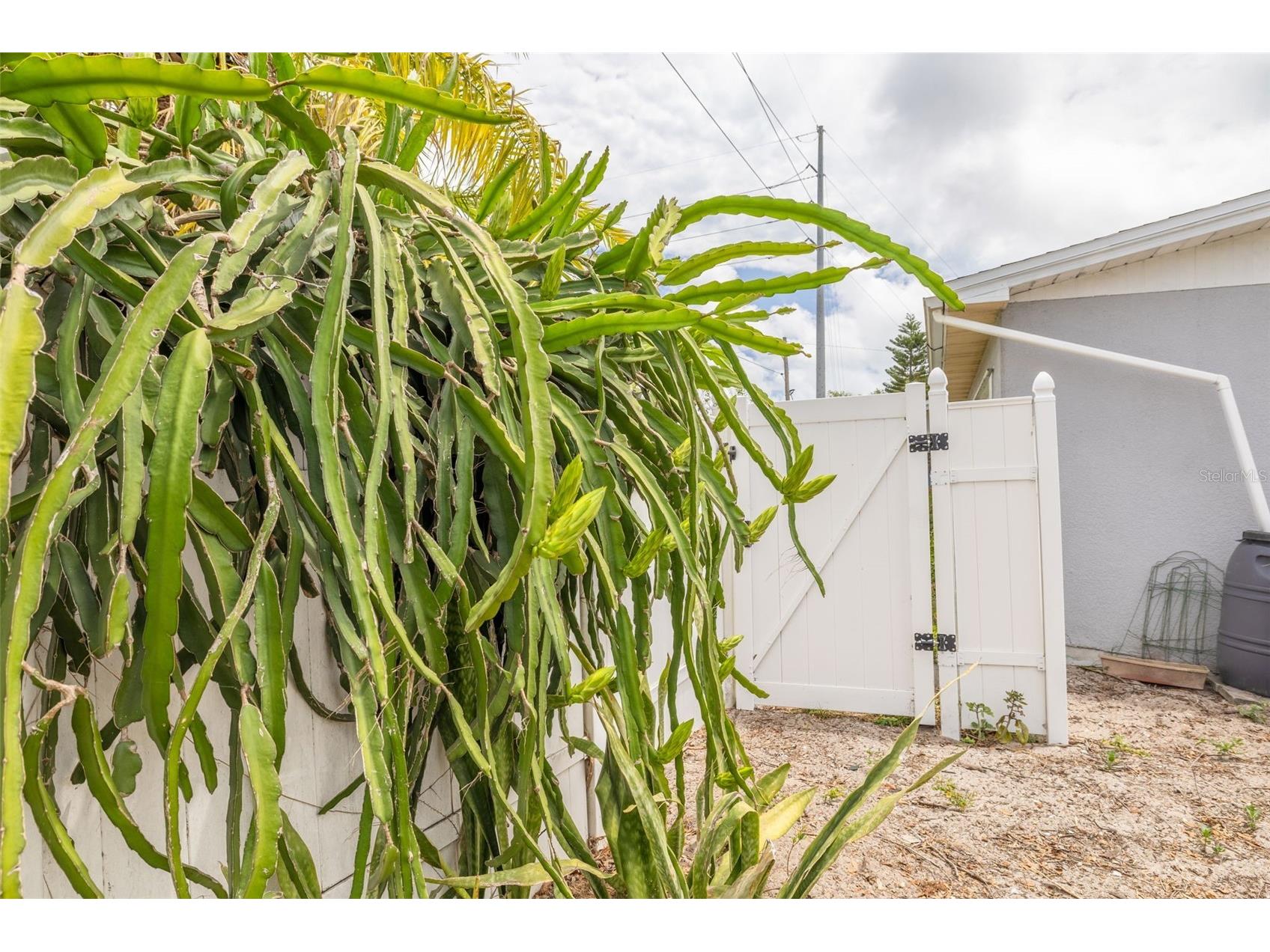 1099 52nd Street S Gulfport FL 33707 TB8502656 image26