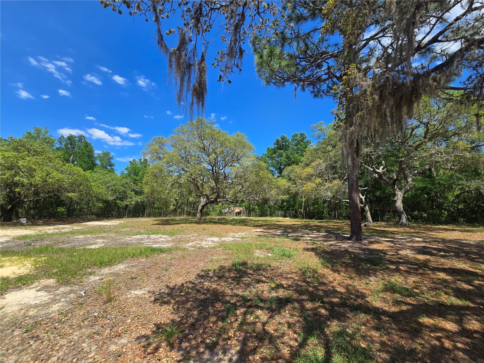 1099 E La Salle Street Hernando FL 34442 OM722808 image24