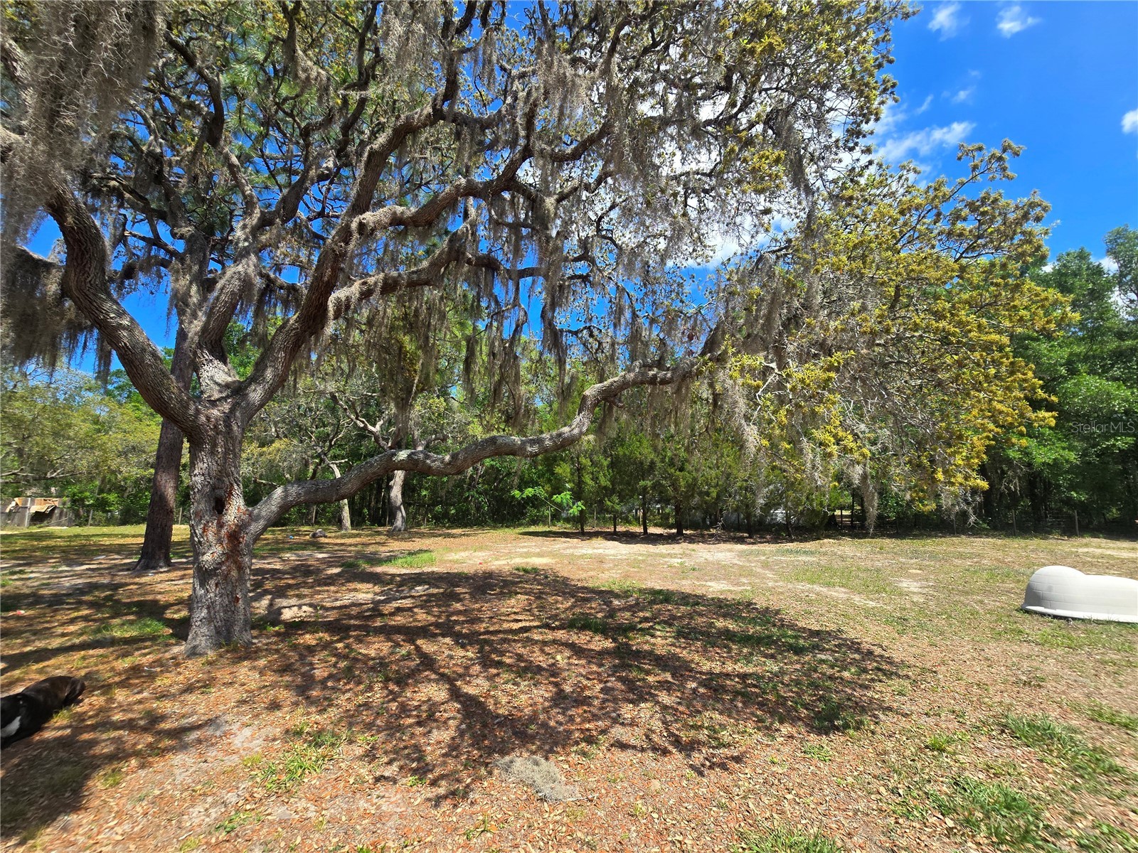 1099 E La Salle Street Hernando FL 34442 OM722808 image25