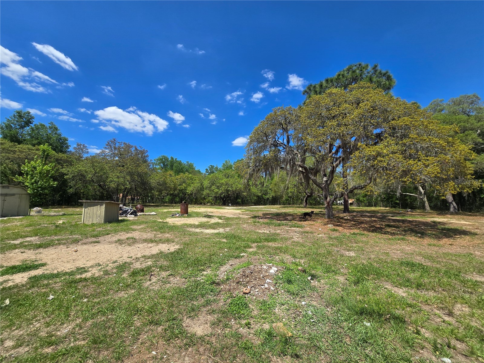 1099 E La Salle Street Hernando FL 34442 OM722808 image26