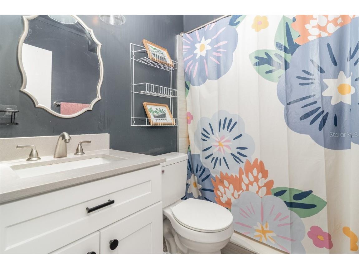 1099 Grove Avenue Mount Dora FL 32757 O6367742 image29