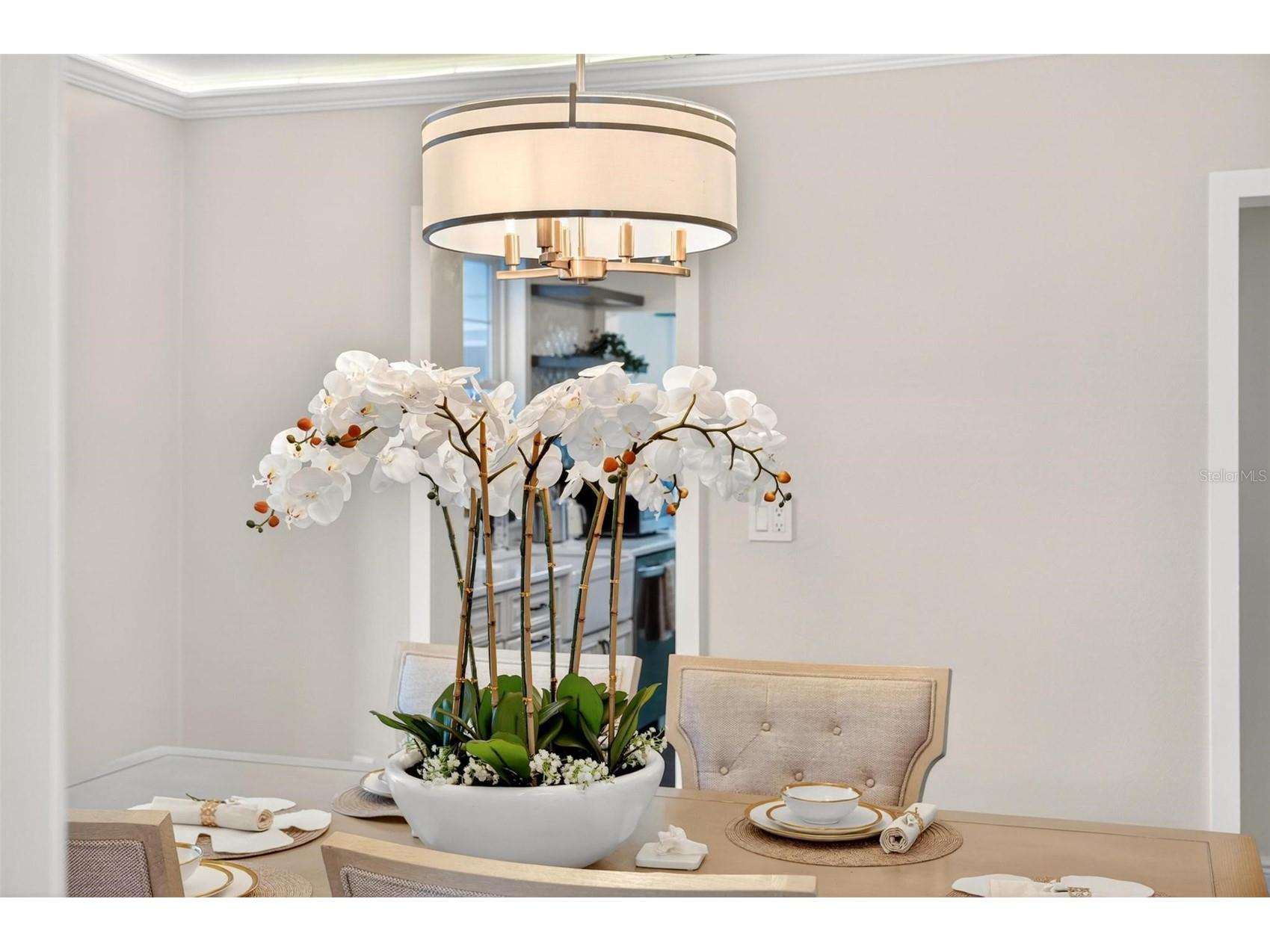 1099 Grove Avenue Mount Dora FL 32757 O6411345 image21
