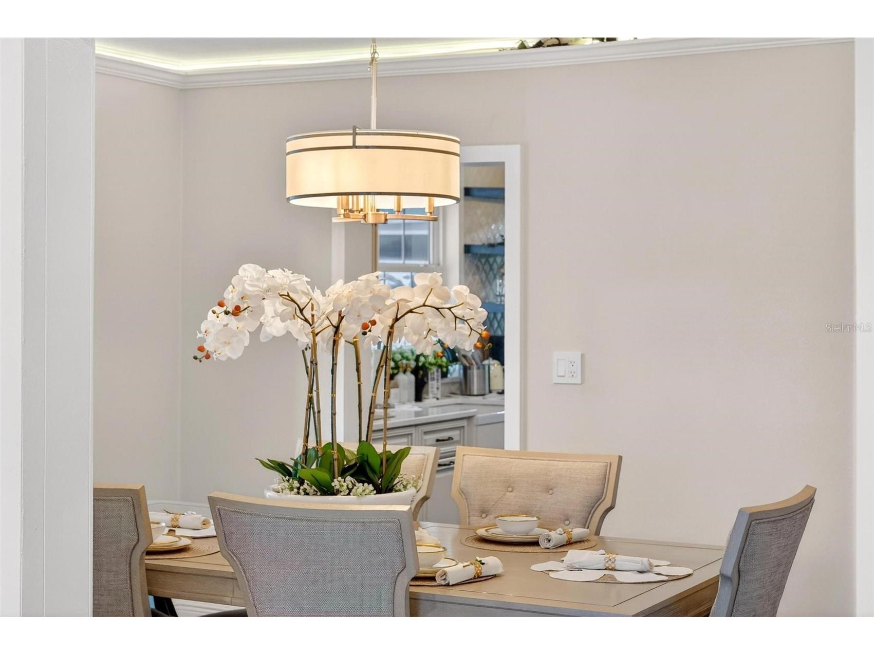 1099 Grove Avenue Mount Dora FL 32757 O6411345 image23