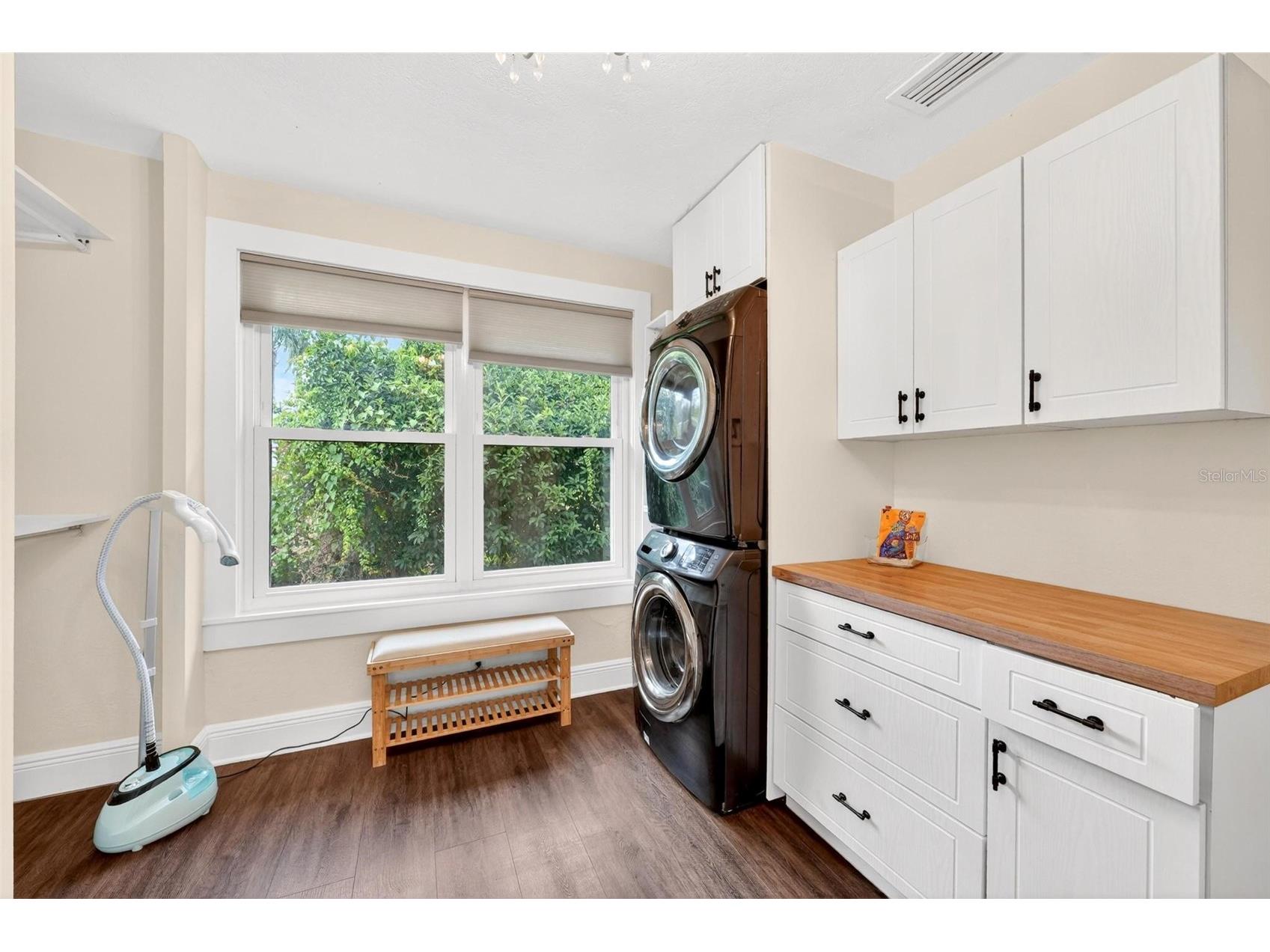 1099 Grove Avenue Mount Dora FL 32757 O6411345 image53