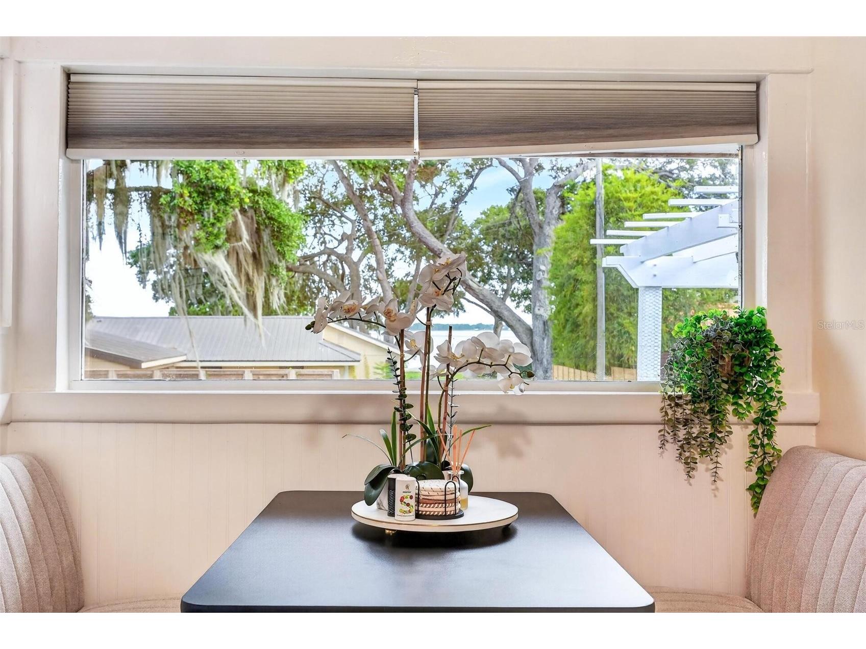 1099 Grove Avenue Mount Dora FL 32757 O6411345 image6