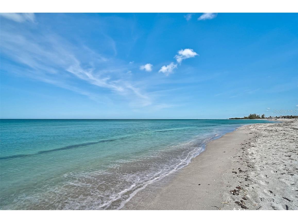 1099 Nokomis Avenue S Venice FL 34285 N6141252 image66