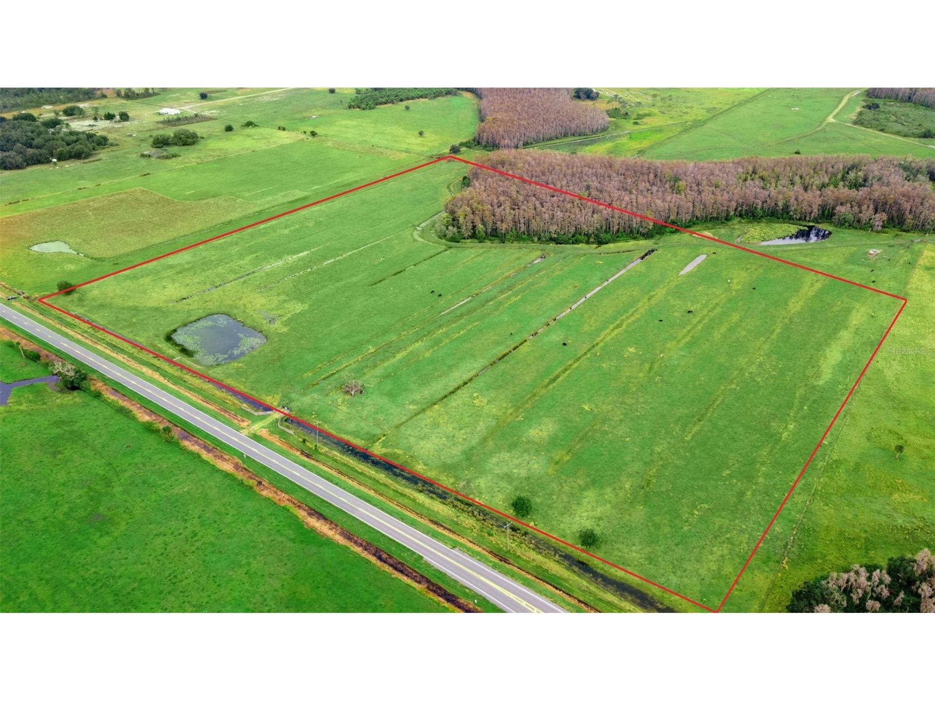 1099 S Canoe Creek Road Kenansville FL 34739 TB8473078 image34