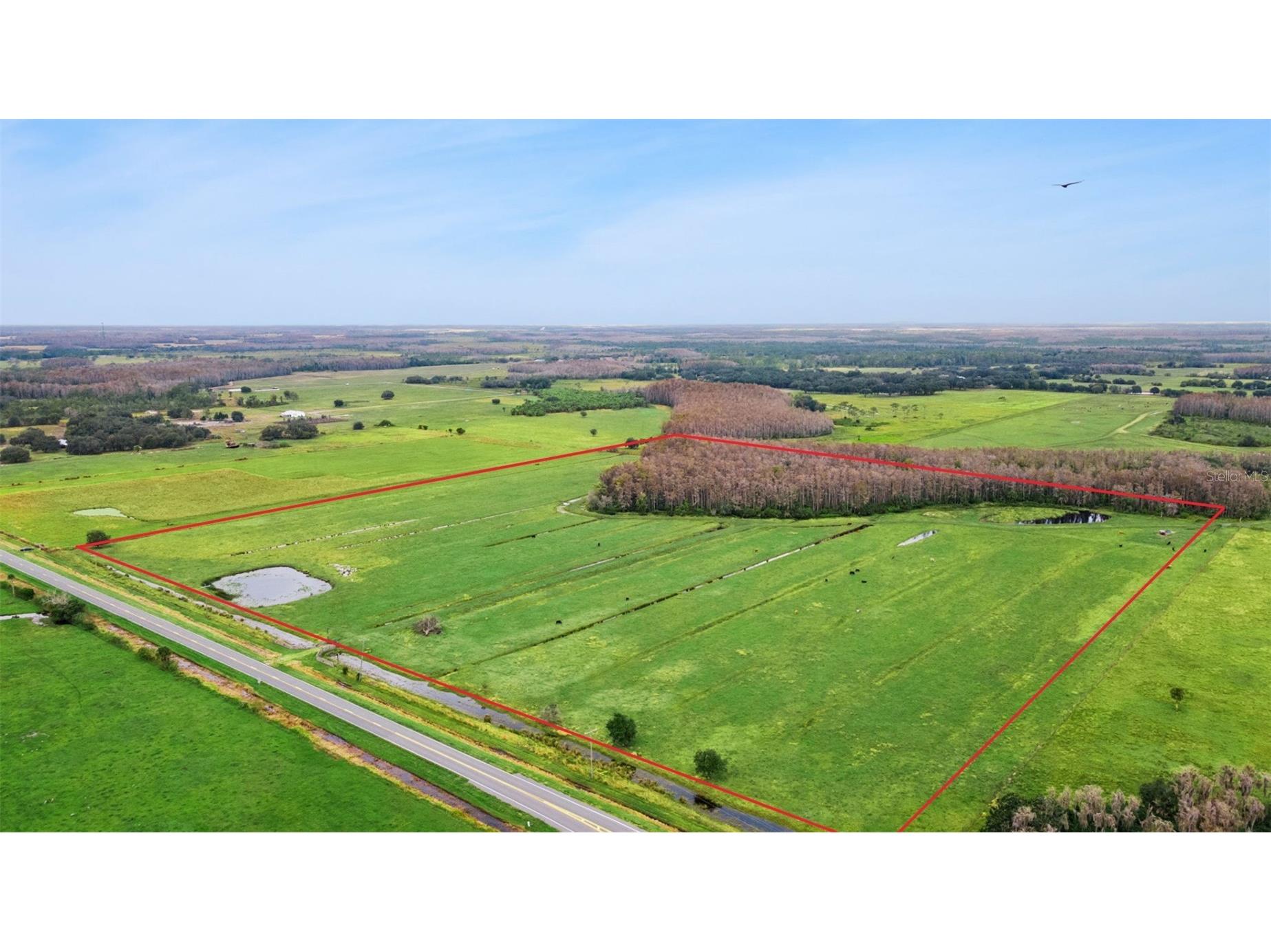 1099 S Canoe Creek Road Kenansville FL 34739 TB8473078 image39
