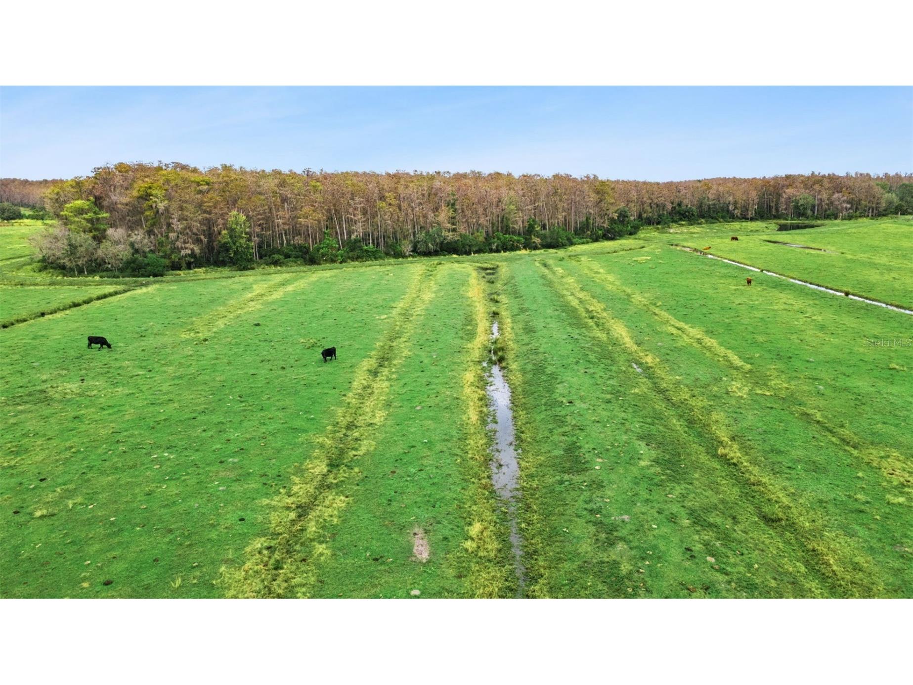 1099 S Canoe Creek Road Kenansville FL 34739 TB8473078 image9